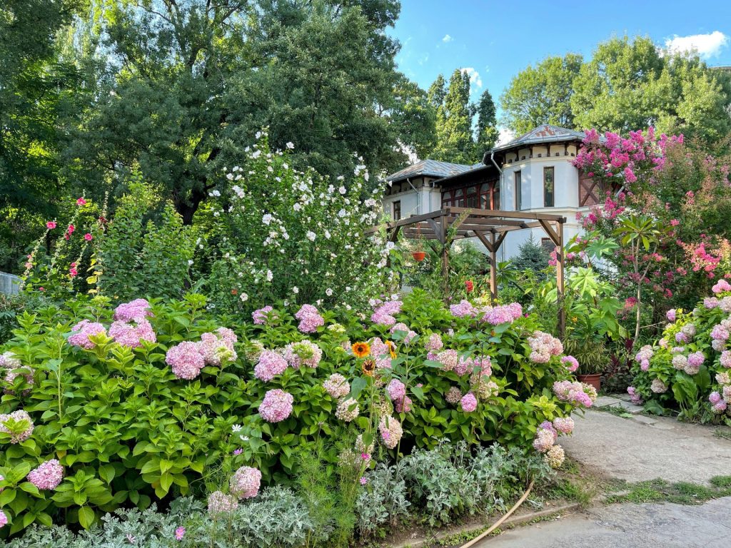 a garden with flowers and trees