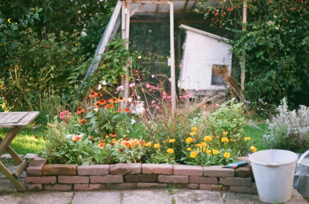A garden filled with lots of flowers next to a building