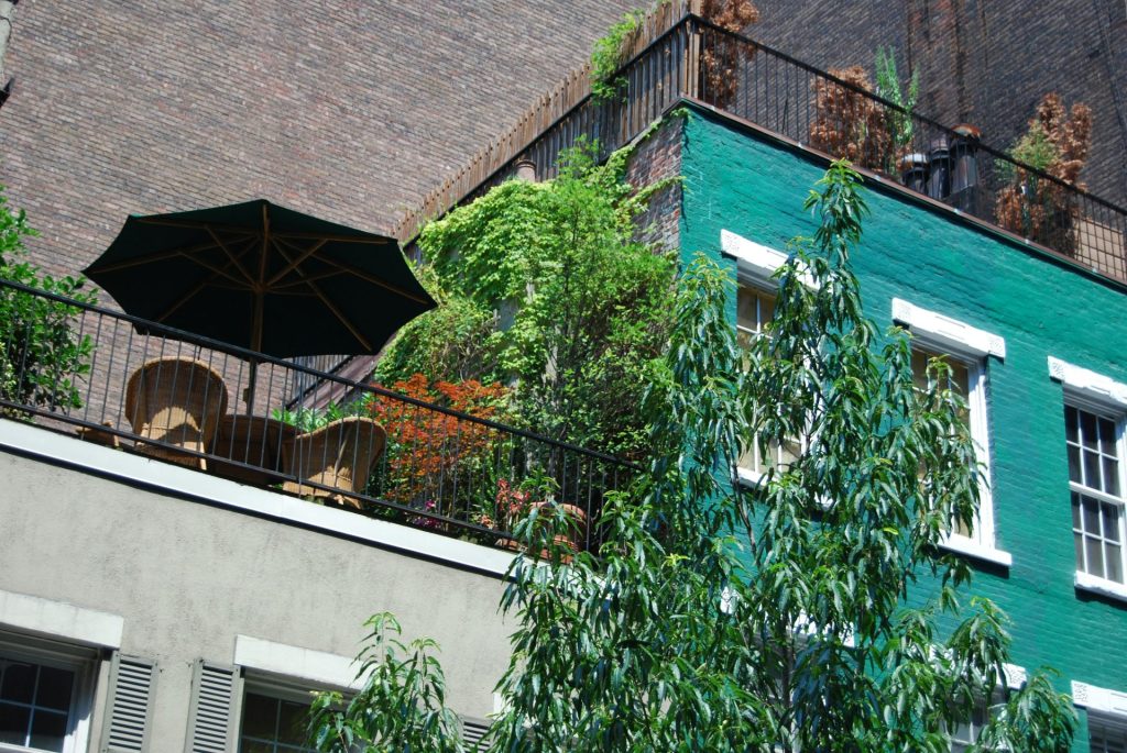 green plant beside white concrete building